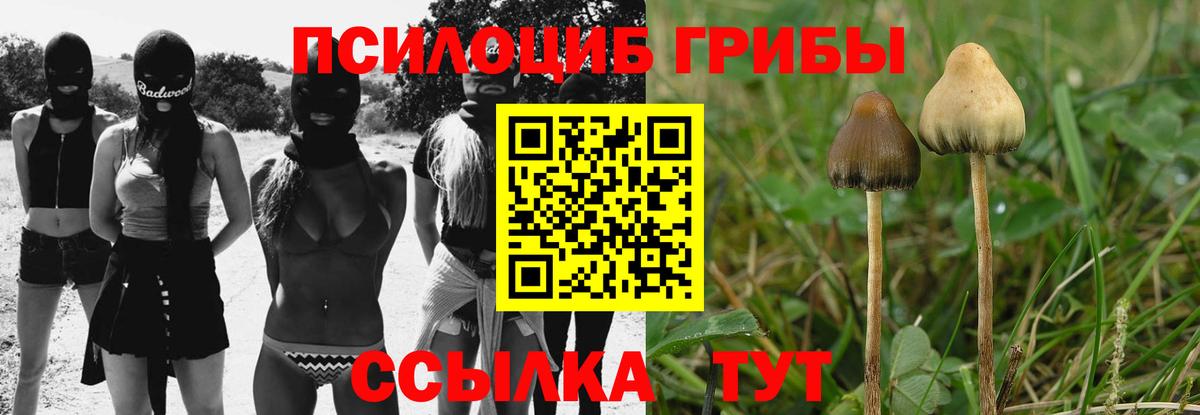 Галлюциногенные грибы Psilocybine cubensis Артёмовский
